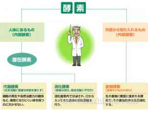 探讨低噪音环境对人体健的潜在影响与益处