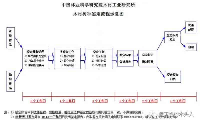 '企业效率评估：低效企业识别与认定标准解析'