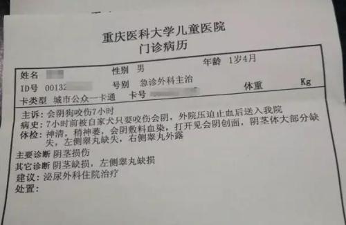 住院病历的法律效力：定义、范围、规定及证据属性解析