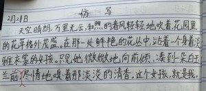 火龙果该怎么写：作文300字技巧、说明文撰写、一话描述、外形与味道介绍