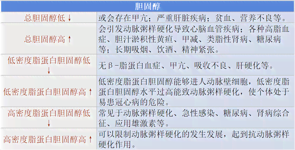 体检报告分析助手：哪些软件助您精准解读体检结果