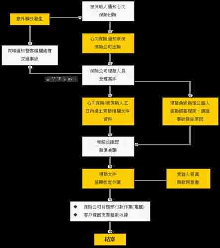 保险公司理赔流程、认定标准与常见问题解析：全面指南助您顺利     