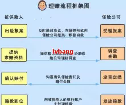 保险公司理赔流程、认定标准与常见问题解析：全面指南助您顺利     