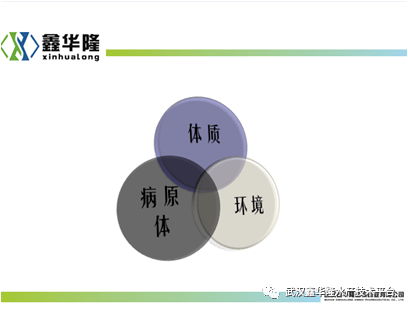 个人信息泄露危机：深层解析原因、防范措及应对策略