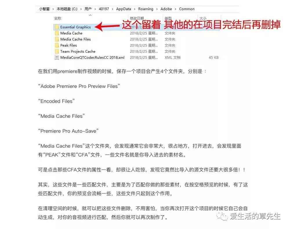 全面指南：使用After Effects导出脚本及常见问题解决方案