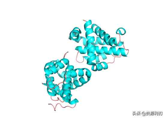 全方位业论文攻略：必备软件与实用工具一览无遗