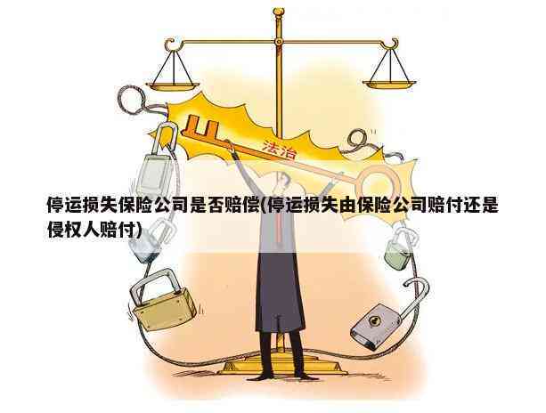 '停运损失认定标准与补偿办法解析'