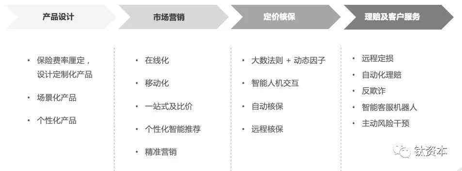 公司是什么：含义、影响及现状探究