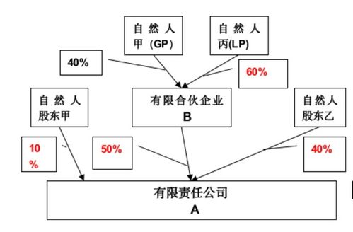 全面解析僵尸公司股东处理策略：责任追究、权益保护与清算退出路径