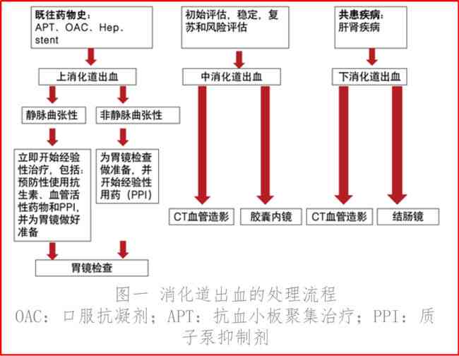 工伤处理流程指南：工伤认定与住院治疗的先后顺序解析