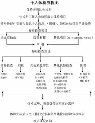 体检与认定先后顺序解析：全面指南助您顺利办理手续