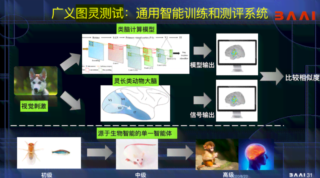 智慧灵鹿：高效动物识别助手软件