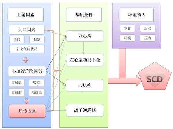 探讨先天性心脏病在工作场所猝死工伤认定的挑战与难度