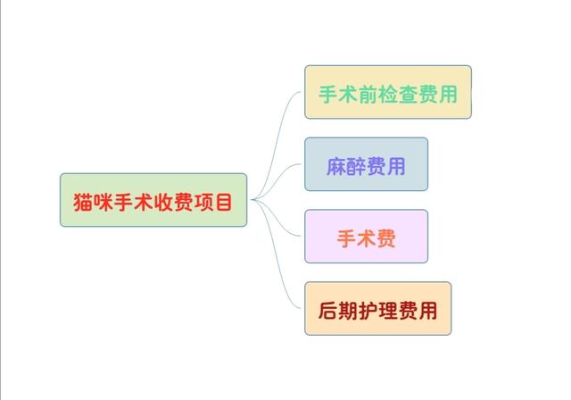 手术费用垫付与报销流程详解：如何先行手术后再申请报销？