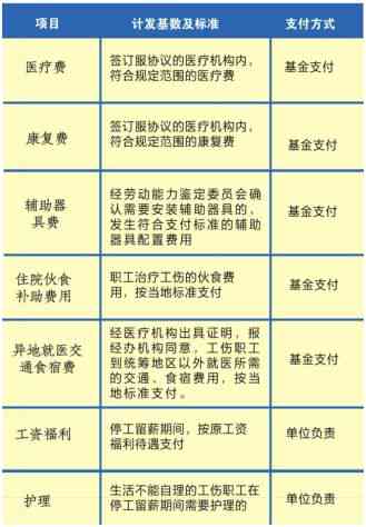 工伤认定与就医顺序解析：如何正确处理工伤事故后的医疗与认定流程