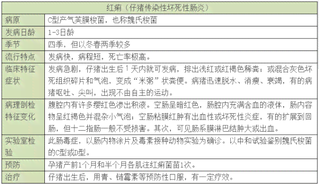 引nn工伤是先鉴定还是先复：治疗、鉴定、医疗、评残顺序解析