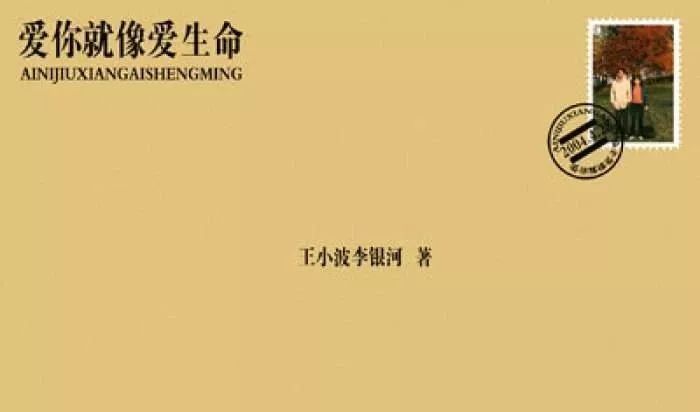 文案加仿写：快速模仿创作指南与书推荐