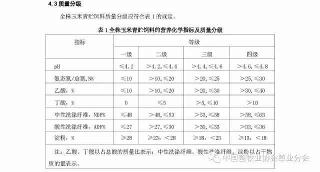 全面解析：公亡、工伤及其认定标准与赔偿差异对比