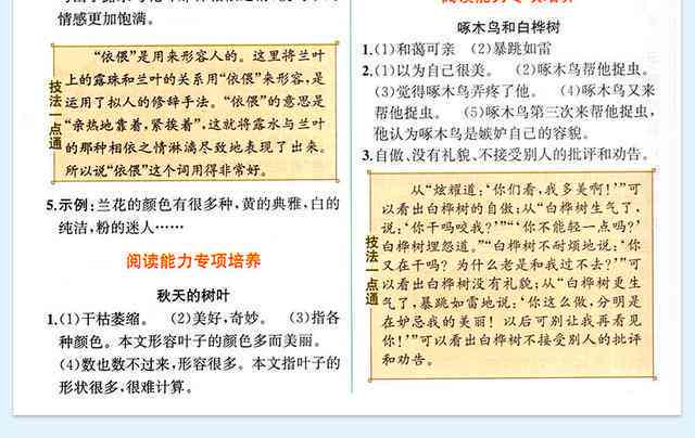 智能画像实训：综合分析与学心得报告总结