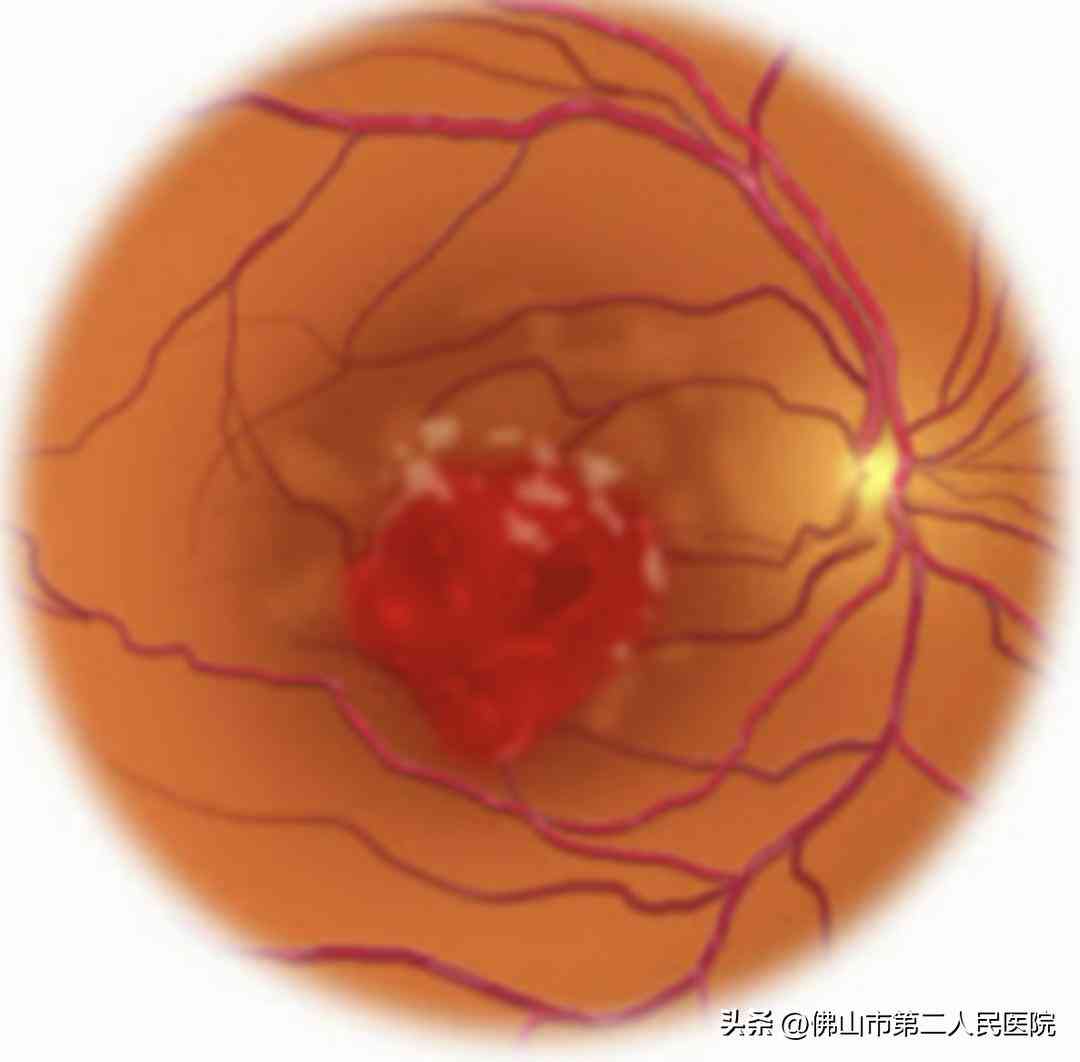 如何设置AI文件：详细添加出血的方法与步骤