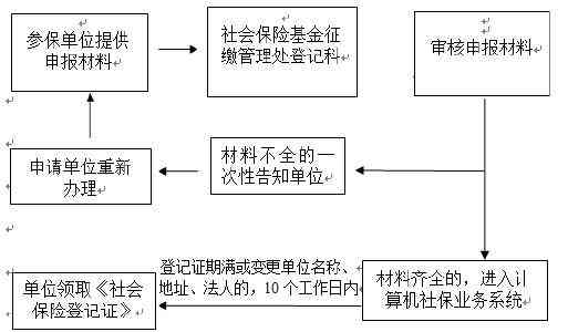 单位申报工伤认定流程指南：如何申请工伤认定的详细程序