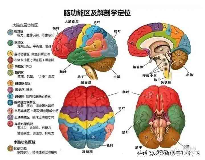 掌握大脑AI智能创作平台攻略：全方位解析使用方法与常见问题解答