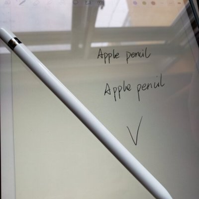 苹果可以写字吗：探索le Pencil功能与iPad笔记体验