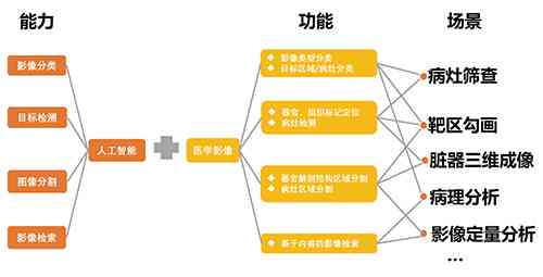 ai影像公司结构分析报告