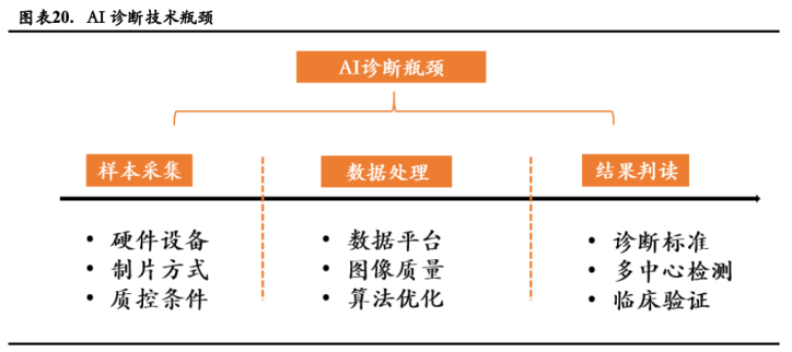 ai影像公司结构分析报告