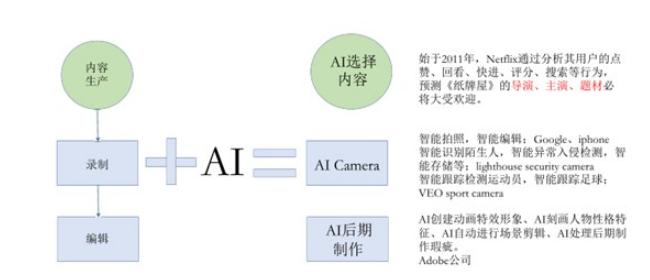 ai影像公司结构分析报告