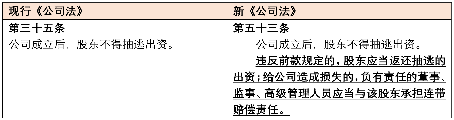 企业负债责任解析：股东、管理层及法律规定的责任归属与应对策略