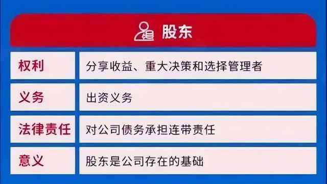 企业负债责任解析：股东、管理层及法律规定的责任归属与应对策略