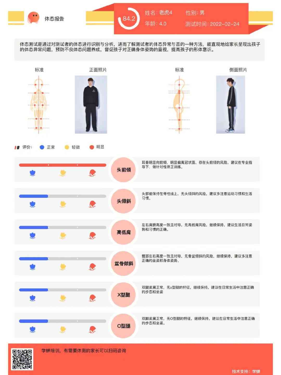 ai体型评估报告模板 - 与报告模板合集