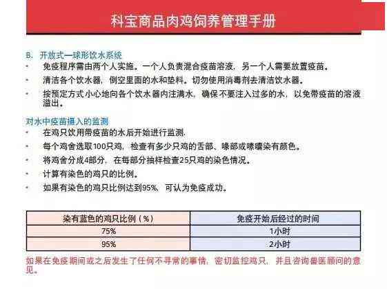 完整指南：公务车辆全责理赔详细流程与常见问题解答