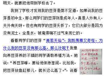 《探索豆芽生长奥秘：一篇寓教于乐的作文》