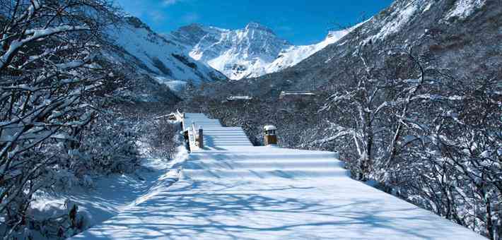 AI雪景文案神器：一键生成热门雪景创意，全面覆冬日营销需求