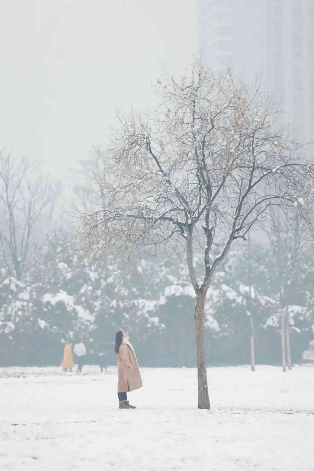 ai雪景文案最近最热了：雪景文案短句干净治愈，一句简短雪景文案