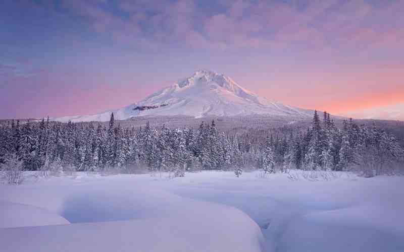 一句简短的雪景文案：短句干净治愈，描绘纯净冬日美景