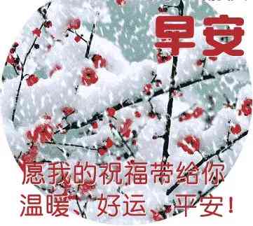 一句简短的雪景文案：短句干净治愈，描绘纯净冬日美景