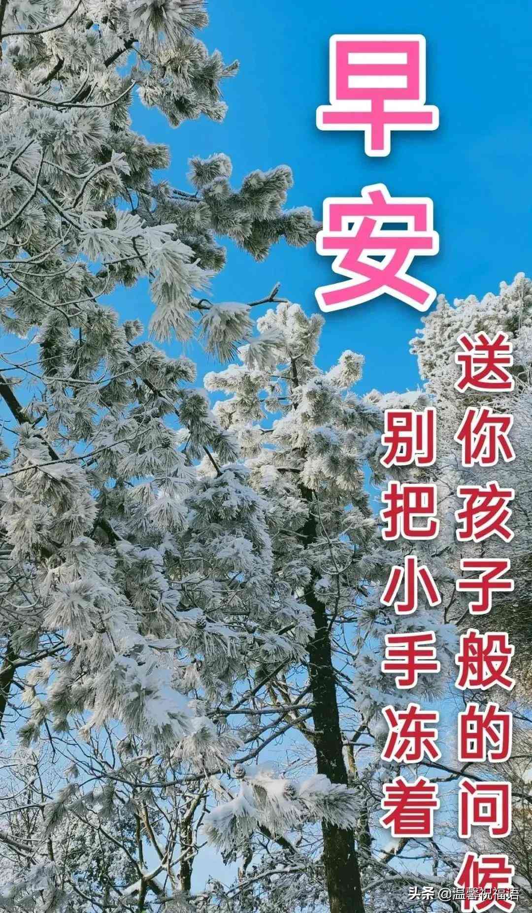 一句简短的雪景文案：短句干净治愈，描绘纯净冬日美景