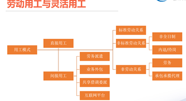 '企业关联公司灵活用工管理与优化策略研究'