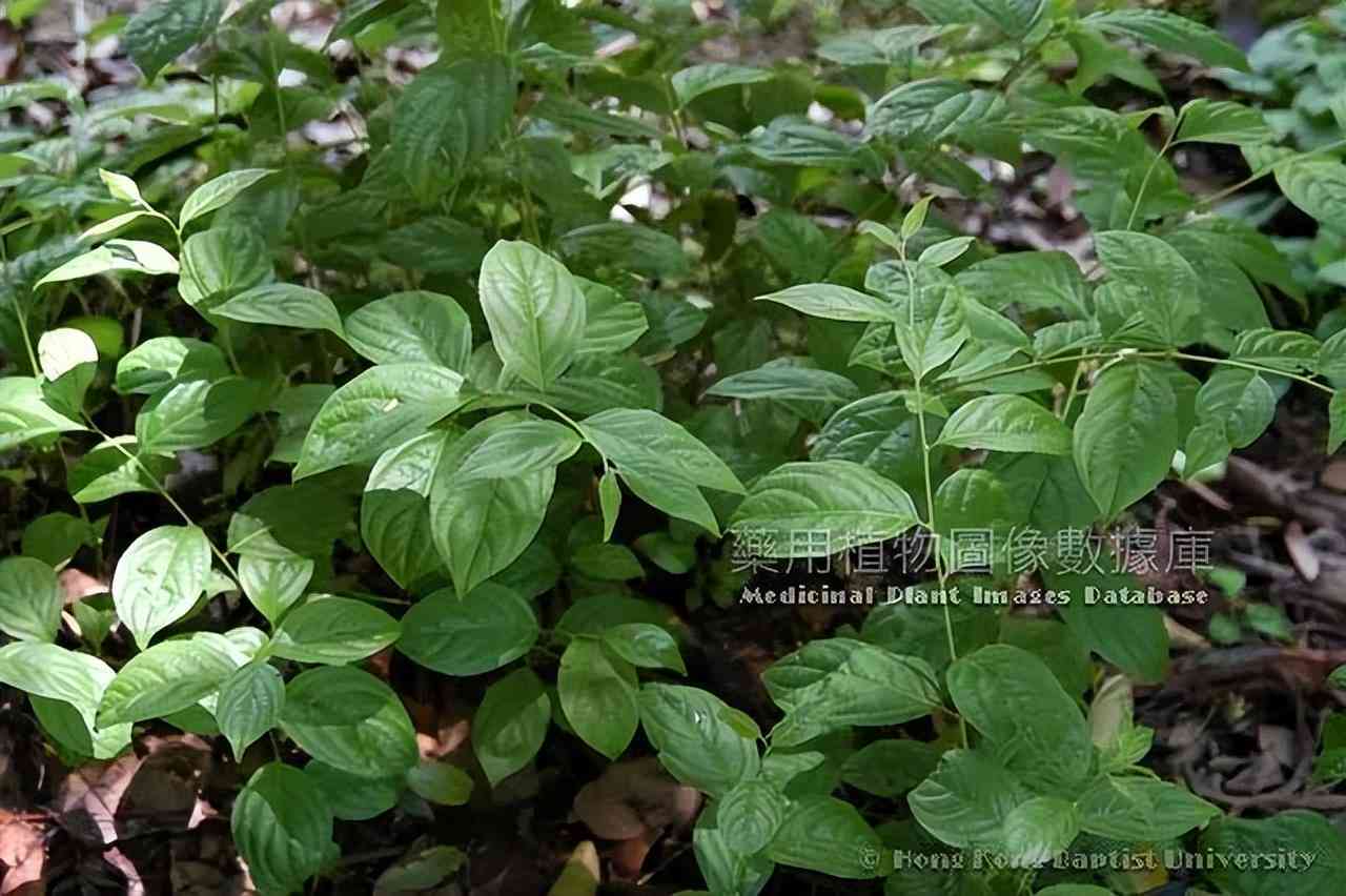 工伤认定：骨关节炎是否属于职业性疾病范畴