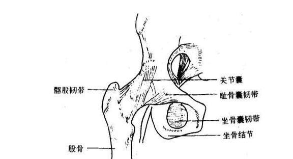 关节脱位算伤残吗：详解关节脱位伤残鉴定标准与法律判定