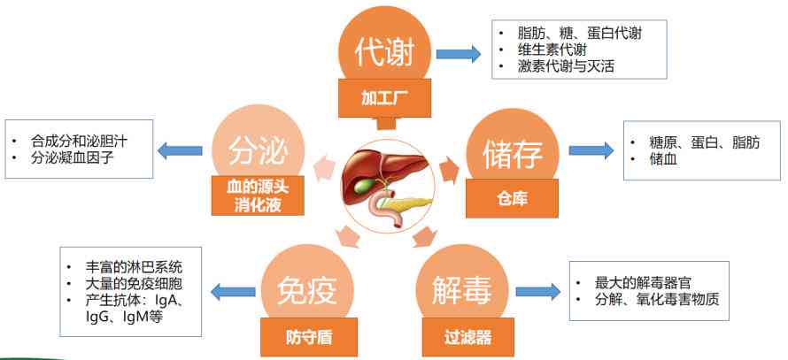 养殖大户工伤认定标准与流程：全面指南解读及常见问题解析