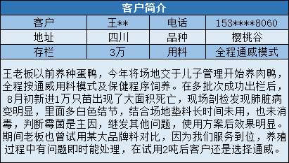 养殖大户评定标准：全面解析现代化养殖成功要素