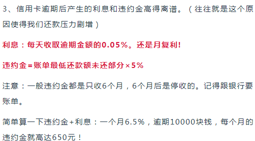 养殖大户评定标准：全面解析现代化养殖成功要素