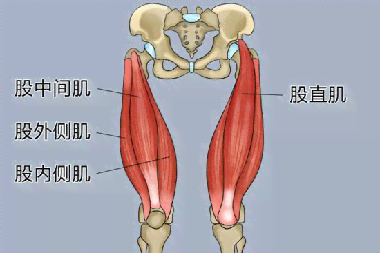 冈上肌腱修复手术费用解析：涵不同类型、程度及医院级别价格范围