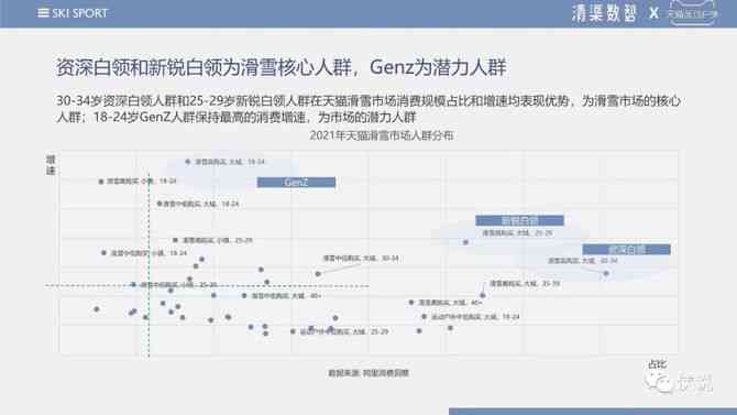 人工智能辅助雪运动数据分析综合报告