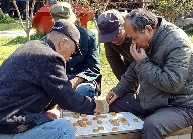 与老人下棋导致其离世，法律责任与道德考量全解析