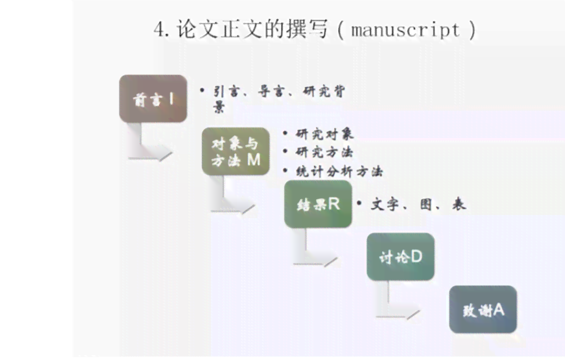 掌握学术论文核心：正文写作技巧与策略解析